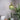 Lyss PendantLyss PendantHome & Garden